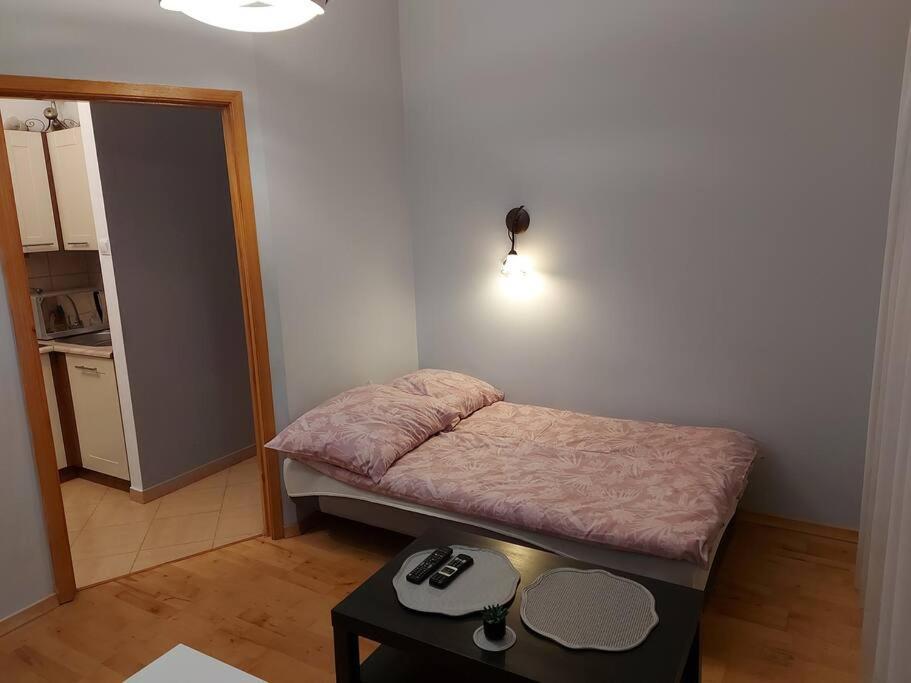 Homelyapartment Kraków Eksteriør billede