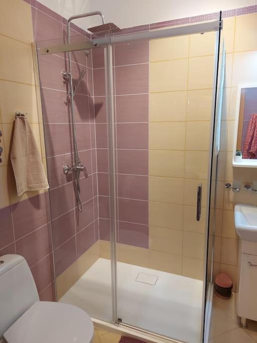 Homelyapartment Kraków Eksteriør billede
