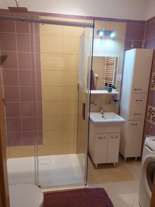 Homelyapartment Kraków Eksteriør billede