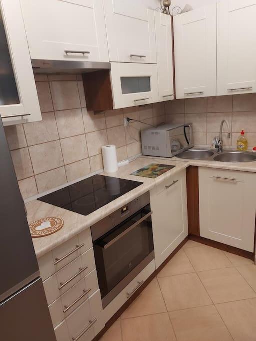Homelyapartment Kraków Eksteriør billede